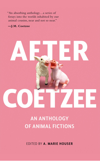 After Coetzee